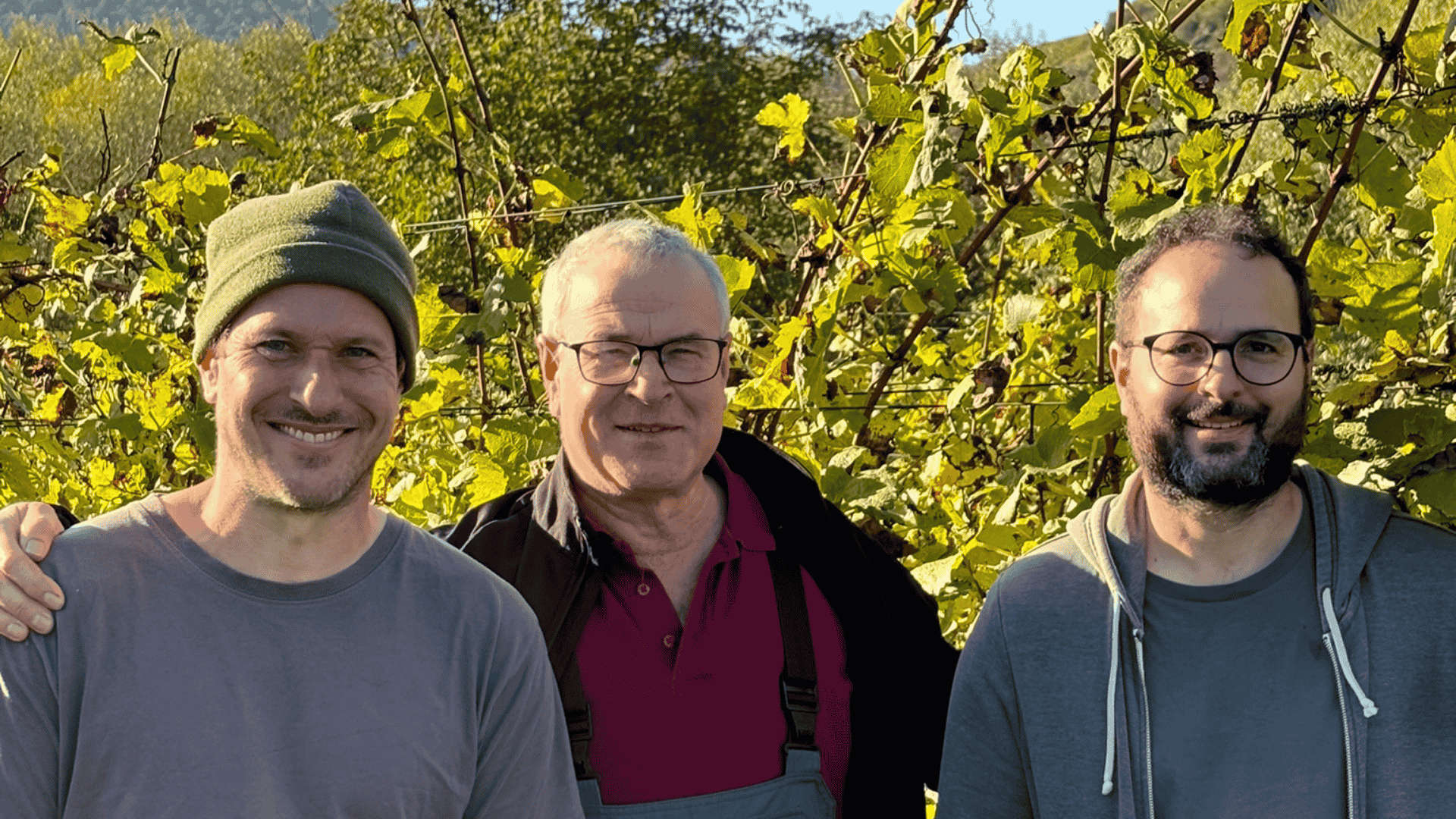 Der Weinbau im Klimawandel