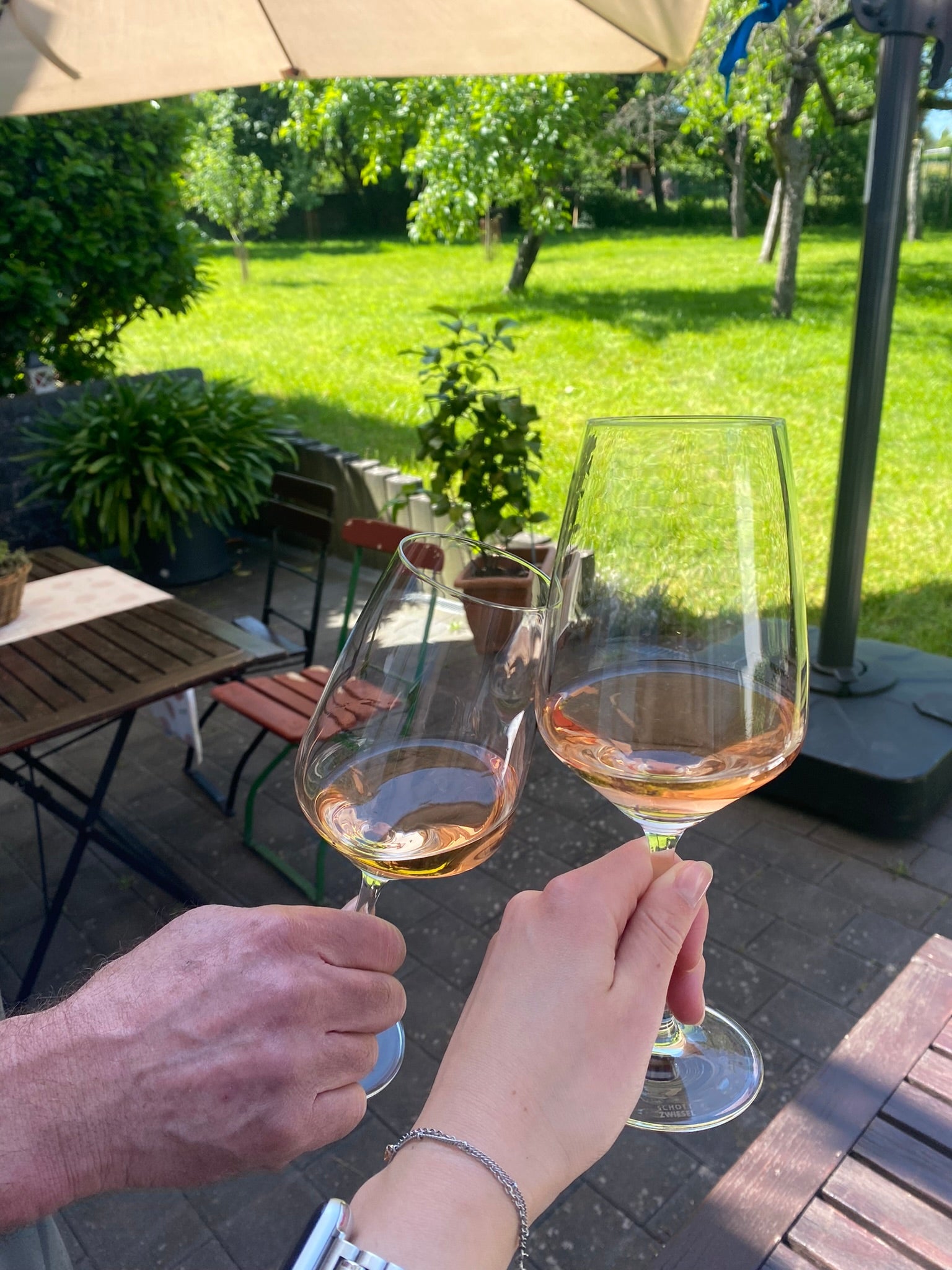 Wenn der Frühling ins Glas zieht – unsere neuen Rosés 2025